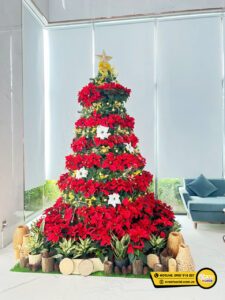Mẫu cây thông Noel đẹp