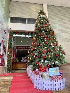 Mẫu cây thông Noel đẹp
