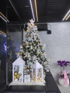 Mẫu cây thông Noel đẹp