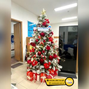 Cây thông Noel đẹp